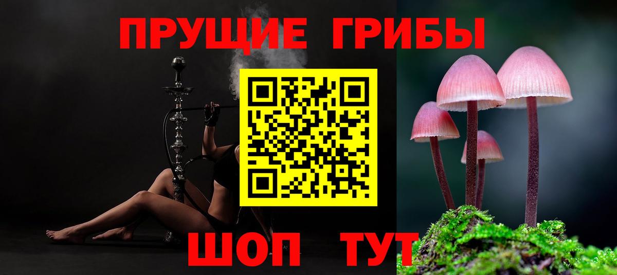Галлюциногенные грибы мицелий  Вход с VPN  Зерноград 